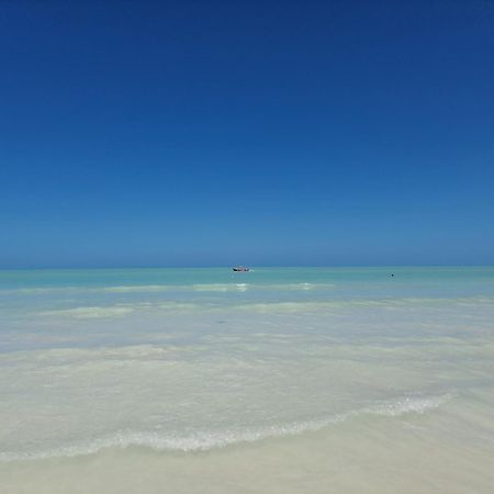 Luna Y Sol Glamping Holbox Luaran gambar